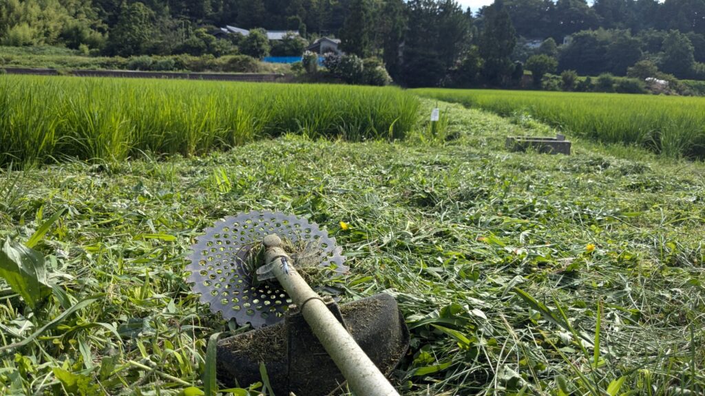 刈払機使用の様子